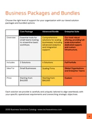 B2B Business Solutions Catalog Template - Página 9