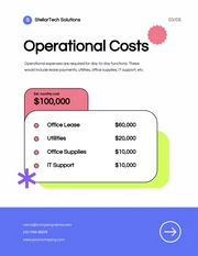 Colorful Minimalist Company Budget Plan - Page 3
