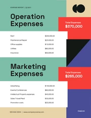 Blue And Red Geometric Company Expenses Report - Page 3