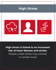 Heart Disease Risk Factors Instagram Carousel - Seite 3