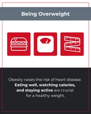 Heart Disease Risk Factors Instagram Carousel - Seite 4