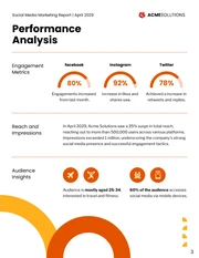 Social Media Marketing Report Template - صفحة 3