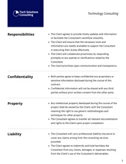 Technology Consulting Contract Template - Page 3