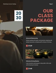 Dark Red Simple Car Driving Courses Catalog - Page 2