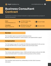 Business Consultant Contract Template - Page 1