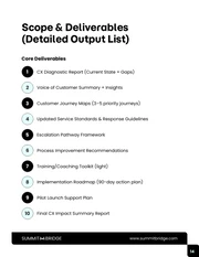 Customer Experience Improvement Business Proposal - Pagina 14