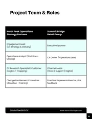 Customer Experience Improvement Business Proposal - Pagina 16