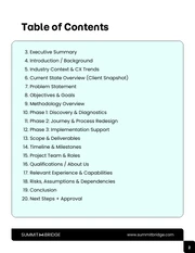 Customer Experience Improvement Business Proposal - Pagina 2