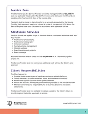 Social Media Management Contract Template - Seite 3