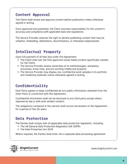 Social Media Management Contract Template - Seite 4