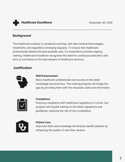 Green and Grey Simple Modern Healthcare Proposals - Page 3