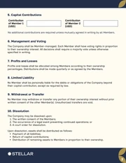 LLC Contract Template - Page 2