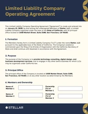 LLC Contract Template - Page 1