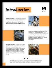 Black, White and Orange Animal Organization Annual Charity Report - page 2