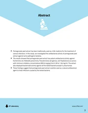 Light Blue Research Proposal Template - Page 3