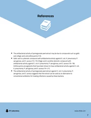 Light Blue Research Proposal Template - Page 7