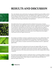 White and Green Consulting Proposal Template - Page 6