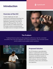 ICO White Paper Template - Pagina 3