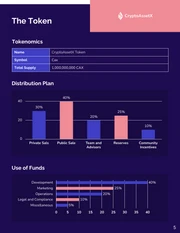 ICO White Paper Template - Pagina 5