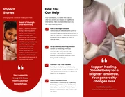 Red and White Minimalist Clean Modern Fundraising Tri-fold Brochure - Page 2