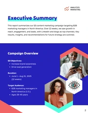 Content Marketing Campaign Performance Report - page 2