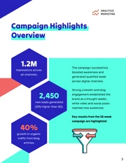 Content Marketing Campaign Performance Report - page 3