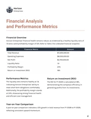 External Audit Report - Page 4