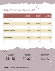 Fashion Company Financial Budget Report - Page 3