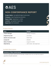 Engineering Non Conformance Report Template - page 1