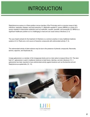 White and Green Research Proposal Template - Page 4