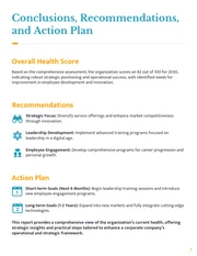 Organizational Health Assessment Template - Página 7