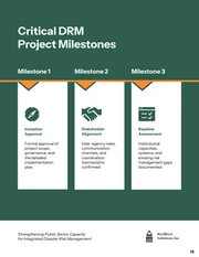 Public Sector Disaster Risk Management Proposal Template - Página 13