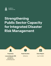 Public Sector Disaster Risk Management Proposal Template - Página 1