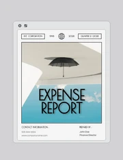 Webpage Display Minimalist Expense Report - Page 1