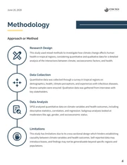 Research White Paper Template - page 4