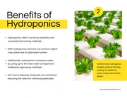Simple White and Yellow Hydroponic Program Presentation - Page 3