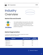 Market Research Report - Page 3