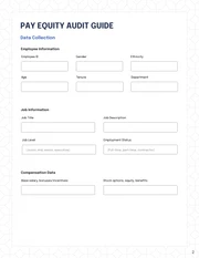 Pay Equity Audit Template - page 2