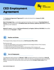 CEO Contract Template - Página 1