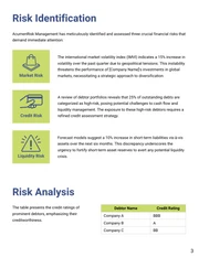 Financial Risk Assessment Report - Page 3