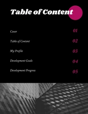 Black And Pink Simple Elegant Business Professional Development Plans - Page 2