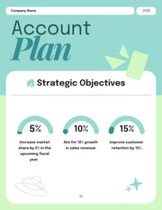 Modern Cool Mint Account Plan - Page 1