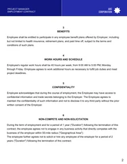 Project Manager Employment Contract Template - Pagina 2