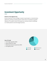 Strategic Investment Basic Business Proposal - Page 4