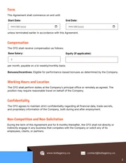 CFO Contract Template - Seite 2