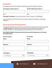 CFO Contract Template - Seite 3