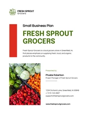 Green And Red Small Business Plan - Page 1