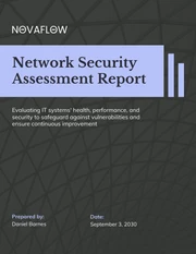 Network Security Assessment Report - page 1