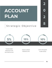 Professional Simple Account Plan - Page 1