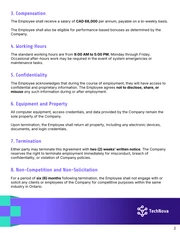 System Administrator Contract Template - Página 2